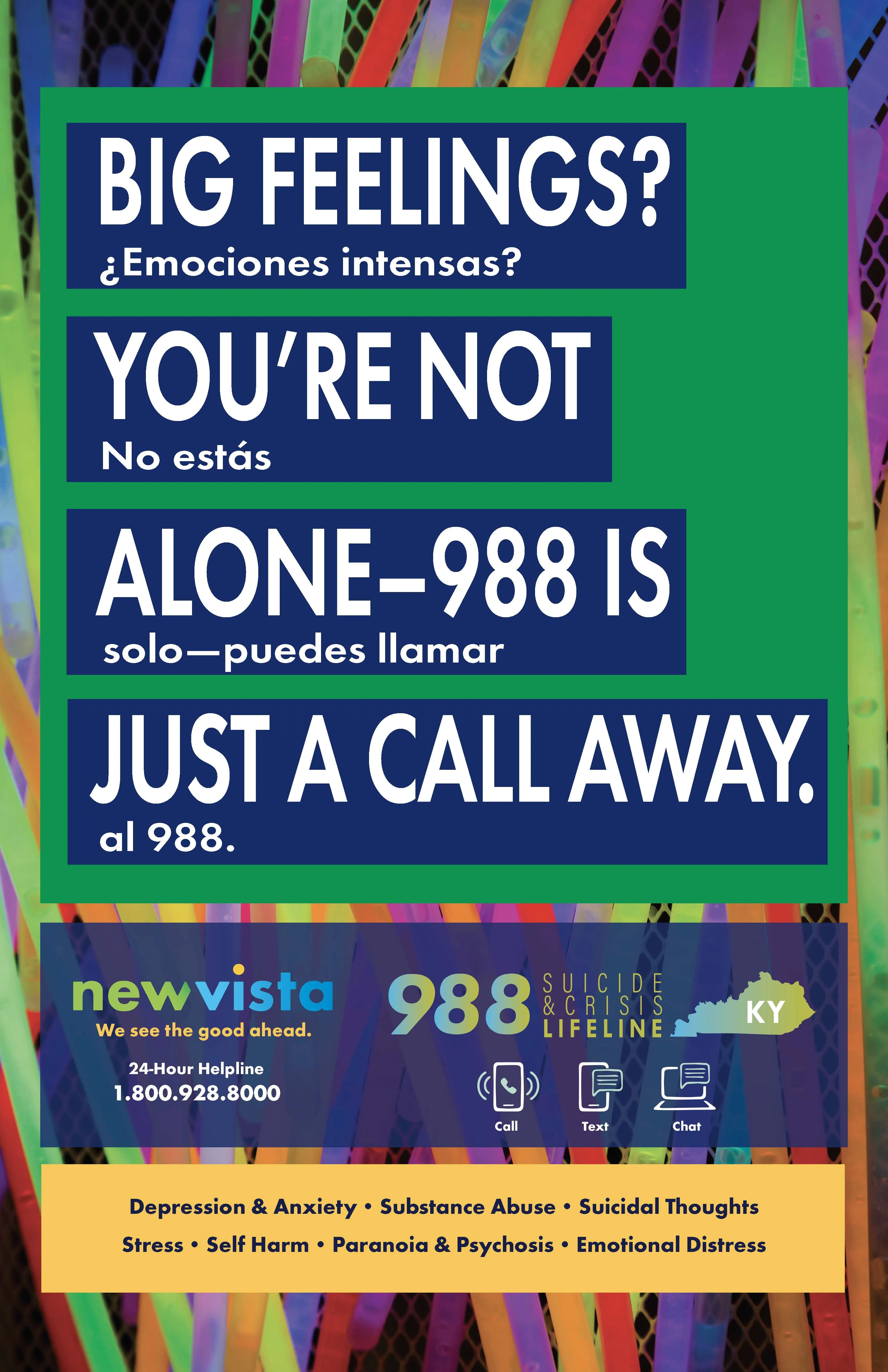 988 Elementary School Poster