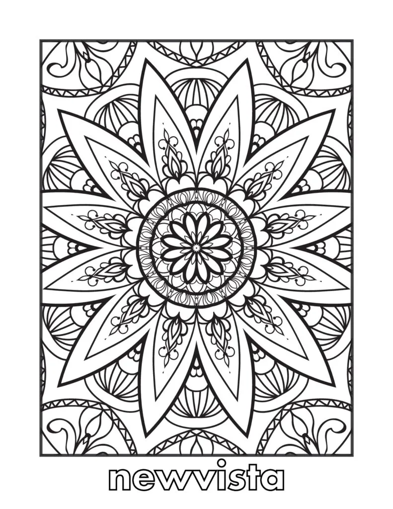 New Vista General Coloring Page 5