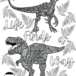 New Vista General Coloring Pages 7